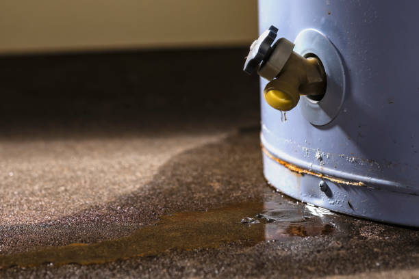 Best Water damage restoration near me  in Sandia Heights, NM