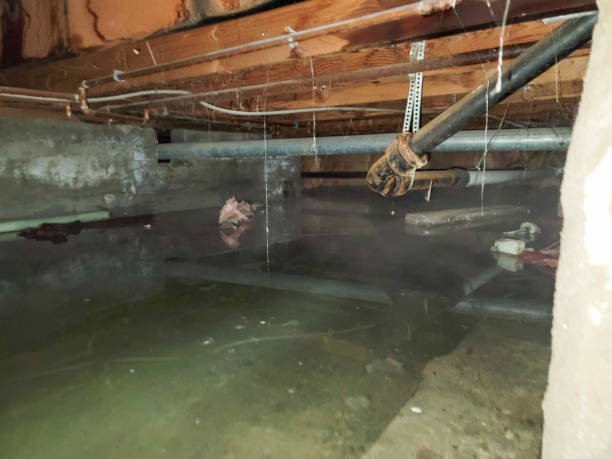 Best Water damage restoration near me  in Sandia Heights, NM