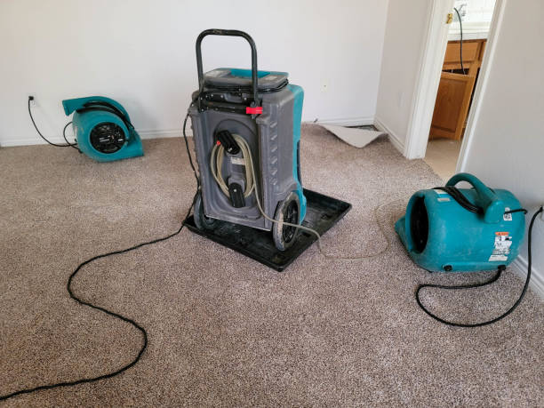 Best Basement water damage restoration  in Sandia Heights, NM