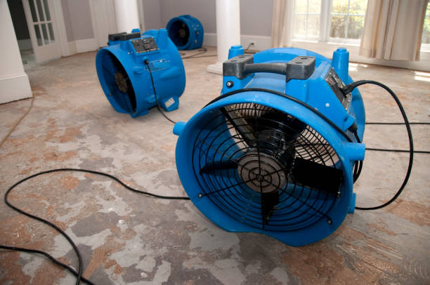 Best 24/7 water damage repair  in Sandia Heights, NM