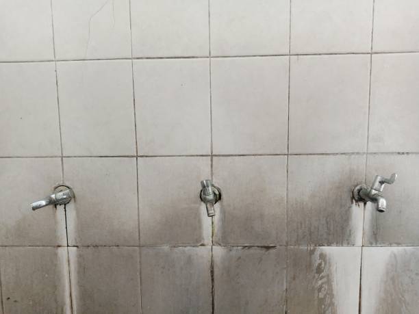Best Water damage contractors near me  in Sandia Heights, NM
