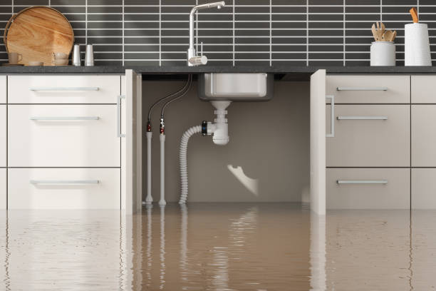 Sewage cleanup and water damage restoration in NM