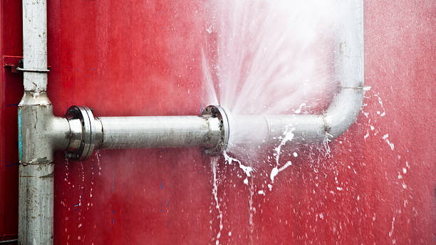 Best Carpet water damage restoration  in Sandia Heights, NM