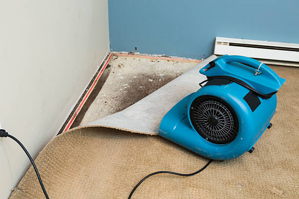 Best 24-hour water damage restoration  in Sandia Heights, NM